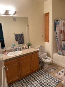 un bagno con lavandino, WC e specchio di Resort like stay in a lovely room near UCI a Irvine