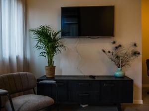 a living room with a tv on a wall with two plants at Tasteful apartment in Vrouwenpolder close to the beach in Vrouwenpolder