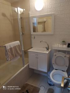 a bathroom with a shower and a toilet and a sink at סוויטה מול הים in Ashkelon