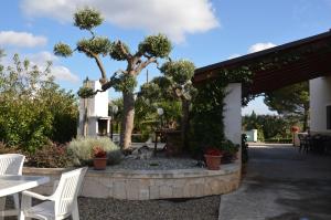 Zahrada ubytování Casa delle Rondini