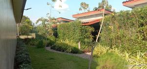 un jardin avec une maison en arrière-plan dans l'établissement เฮือนกว่าง, à Pua
