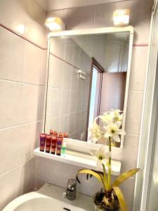 a bathroom with a sink and a mirror and a flower at Piazza Italia Charming Sea Apartments in Chioggia