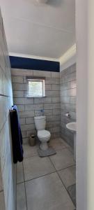 uma casa de banho com um WC e um lavatório em De Anker Verblyf em Olifantshoek