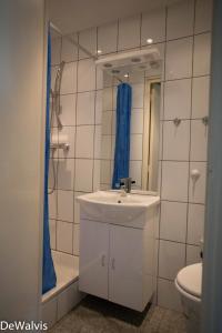 een badkamer met een wastafel, een douche en een toilet bij Appartement Walvis nr. 16 in Vrouwenpolder