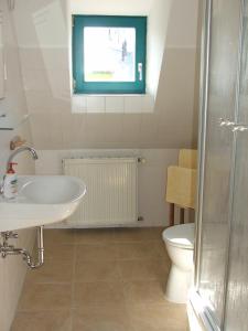 baño con lavabo y aseo y ventana en Ferienwohnung B Gästehaus Mühlenstein, en Bad Sülze