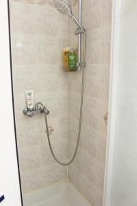 La salle de bains est pourvue d'une douche avec un pommeau de douche. dans l'établissement GOELETTES 311, à Saint-Cyprien