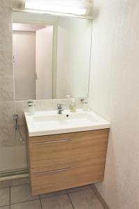 a bathroom with a sink and a mirror at GOELETTES 311 in Saint-Cyprien +3 photos