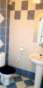 a bathroom with a toilet and a sink at Villa Hawaii in Rapotín