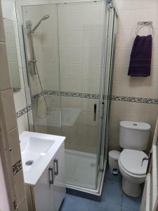 La salle de bains est pourvue d'une douche, de toilettes et d'un lavabo. dans l'établissement Casa Al-Janda, à Barbate