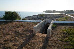 カラ・エン・ブラネスにあるCasa con piscina, vistas y acceso privado al mar. Vistes Voramar.の海の隣の畑の上に座る管
