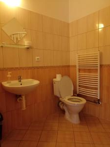 łazienka z toaletą i umywalką w obiekcie Penzion a Restaurace Bělecký Mlýn w mieście Ptení