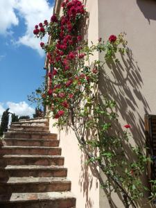 uma escadaria com flores cor-de-rosa ao lado de um edifício em Ca' le Suore em Cagli