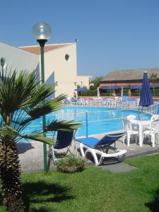 a swimming pool with chairs and umbrellas and a palm tree at Serra Degli Alimini 2 in Alimini