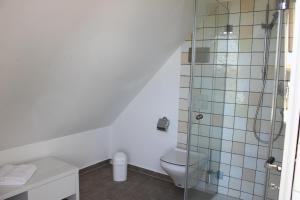 a bathroom with a toilet and a glass shower at Fehmarn-OstseeferienMöwennest 1532 in Sahrensdorf