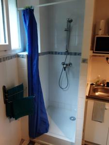 y baño con ducha con cortina azul. en La Maison du Monde, en Limoges