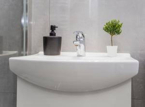 Urban Jungle - Silver Apartment tesisinde bir banyo