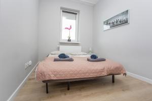 ein Schlafzimmer mit einem Bett mit blauen Kissen darauf in der Unterkunft Urban Jungle - Silver Apartment in Białystok