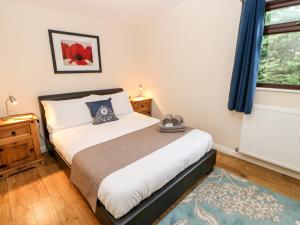 a bedroom with a bed and a window at Foxglove Lodge in Saltburn-by-the-Sea