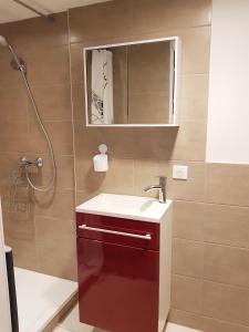 a bathroom with a sink and a shower at Appartement cosy et agréable avec terrasse privée in Horbourg