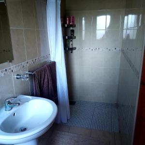 een badkamer met een wastafel en een douche bij Ros na gCloch in Westport