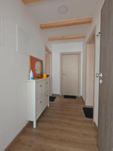 Kuchyň nebo kuchyňský kout v ubytování Gavan Room