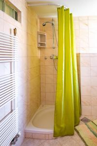 A bathroom at Slovenian Traditional Guest House