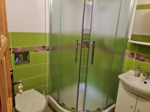 a bathroom with a shower and a toilet and a sink at Penzión Malá Fatra u Ďurka -Terchová in Žilina +18 photos