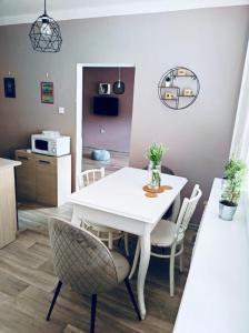 Kuchyň nebo kuchyňský kout v ubytování Apartmán Domov Děčín