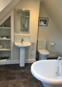 a bathroom with a sink and a toilet at Kingfisher Cottage, Port o Tay in Pitlochry
