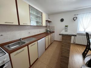 uma cozinha com um lavatório e uma bancada em Holiday Home Božica em Ličko Lešće