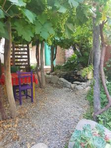 un banco colorido sentado bajo un montón de árboles en Casa Prana Estudio de Yoga en Cafayate