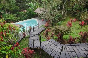 Bassein majutusasutuses Hamadryade Lodge või selle lähedal
