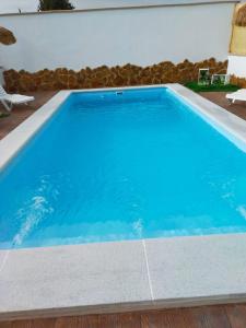 a swimming pool with blue water in a house at Conjunto Rural Andrea in Moriles