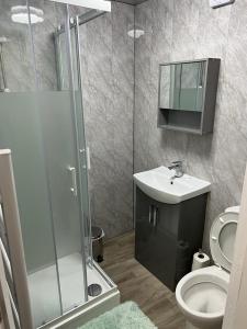 a bathroom with a shower and a toilet and a sink at Blackpool Beach Holiday Flats in Blackpool