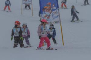 Majutusasutuse Ski- und Wander Appartements Schiffer külastajad