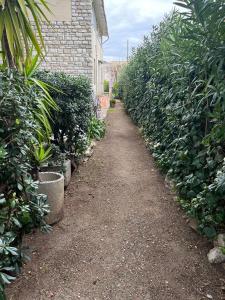 Vonkajšia záhrada v ubytovaní Casetta dei fiori