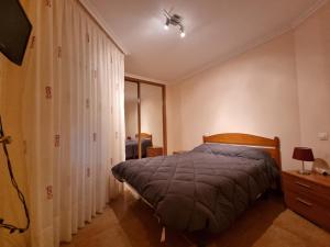 a bedroom with a bed and a television in it at Apartamentos Rapadoira in Foz