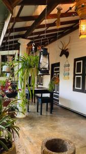 Fotografie z fotogalerie ubytování The Courtyard Villa v destinaci Sigiriya