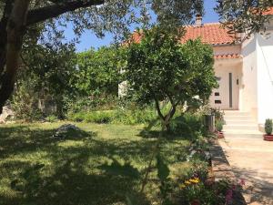 Vonkajšia záhrada v ubytovaní Ruza Apartment