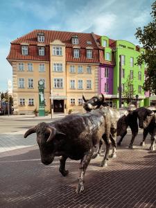 una estatua de vacas en medio de una calle en An der Persiluhr Stadt-gut-Hotel en Lünen