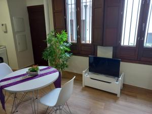 TV a/nebo společenská místnost v ubytování Coqueto apartamento céntrico