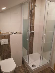 a bathroom with a glass shower with a toilet at Ferienwohnung - Haus Monika in Philippsreut