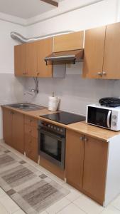Kuchyň nebo kuchyňský kout v ubytování Apartman Panorama