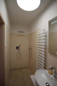 a bathroom with a shower and a sink at Ferienhaus im Obstgarten in Darlingerode +6 photos