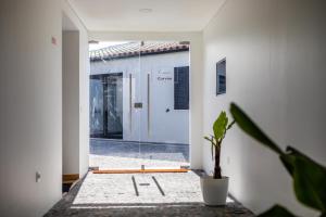 a hallway with a potted plant in front of a door at Carvão PDL Inn in Ponta Delgada