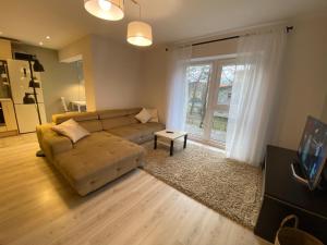 sala de estar con sofá y ventana grande en Sunny apartment, 5min to the sea. Parking. Self check in., en Palanga