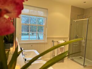 a bathroom with a sink and a shower and a window at The Lough Erne House at Golf Village Lough Erne Resort in Enniskillen +34 photos