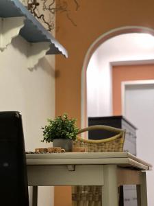 a table with a potted plant on top of it at Apartment BOZ Solingen in Solingen