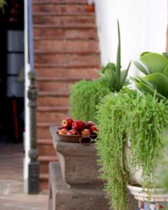 a bowl of apples sitting on top of a staircase at El Serafin Hotel Boutique in Querétaro