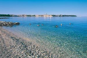 a group of people swimming in the water at Ania Apartment in Poreč